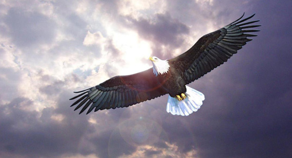 永乐国际F66·(中国游)官方网站