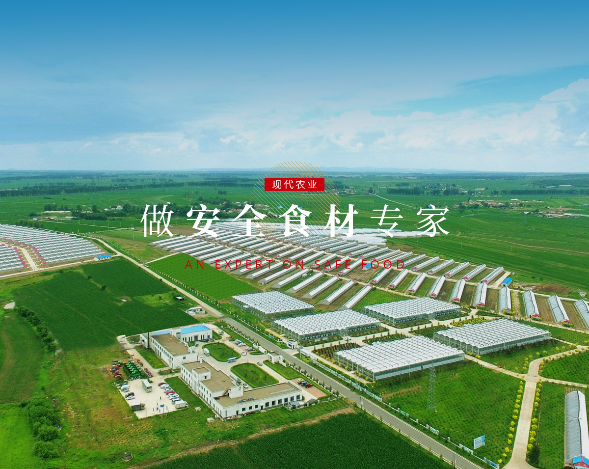 永乐国际F66·(中国游)官方网站