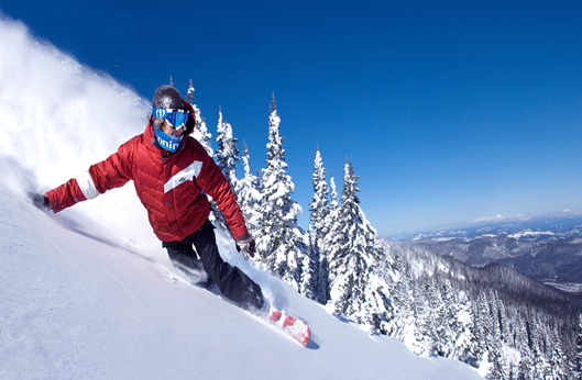 永乐国际F66·(中国游)官方网站