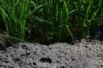 永乐国际F66·(中国游)官方网站