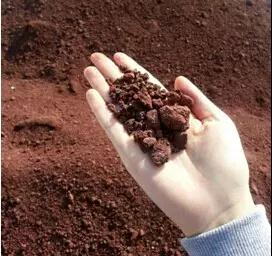 永乐国际F66·(中国游)官方网站