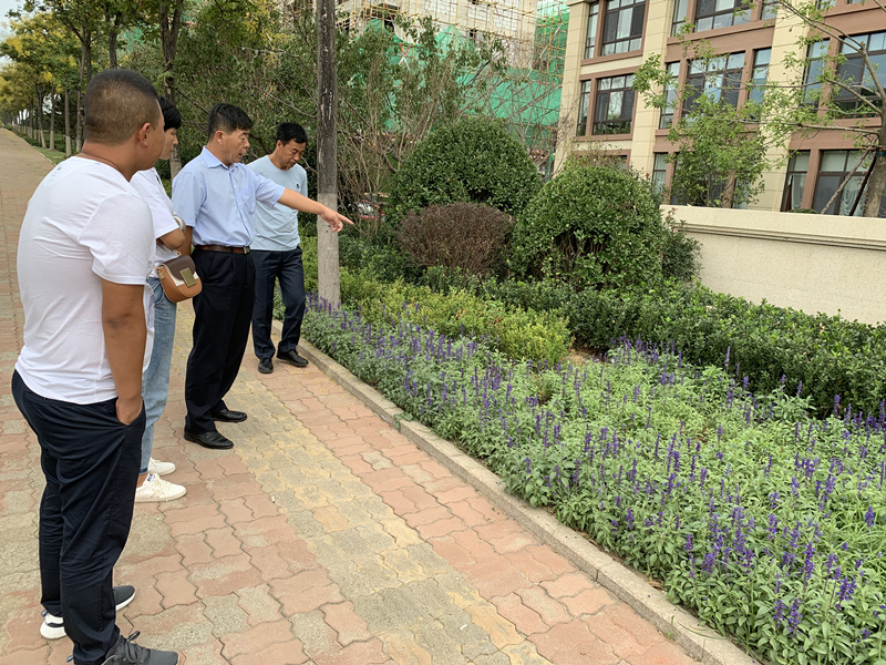 20.园林公司赴威海？？？？？？？疾煲计纺仙较钅.jpg